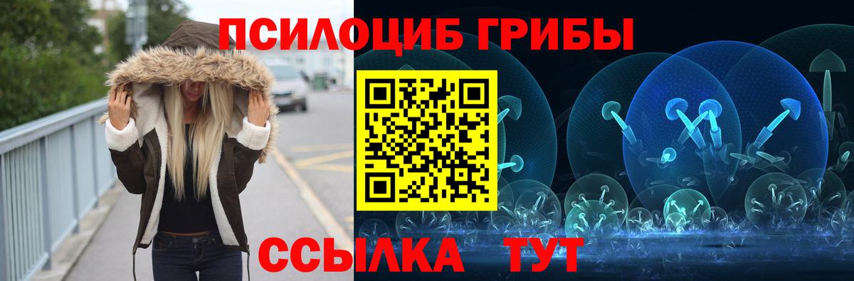 Псилоцибиновые грибы мицелий  купить  цена  Брянск  Вход с VPN 